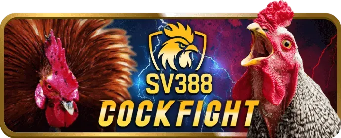 Banner khuyến mãi chào mừng thành viên mới 333vin Nổ Hũ